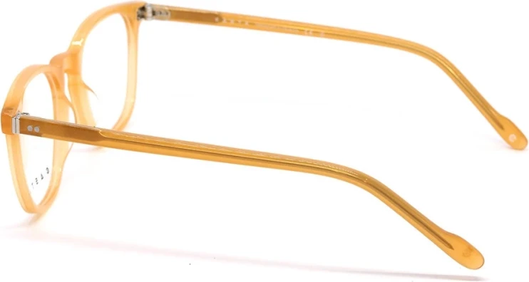 Оправа Оправа Casta CST 3109 BRN