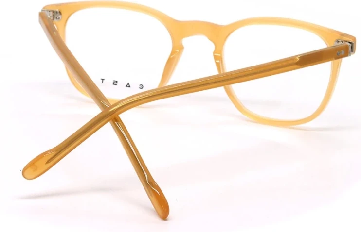 Оправа Оправа Casta CST 3109 BRN