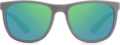 Polaroid PLD 8049/S 3U5495Z