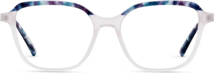 Оправа Оправа Nomad 40193N PP12