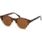 Casta CS 1202 KB BRN