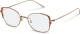 Оправа Оправа Rodenstock R7095 B