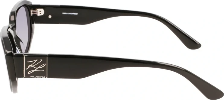 Сонцезахисні окуляри Сонцезахисні окуляри Karl Lagerfeld KL 6073S 001