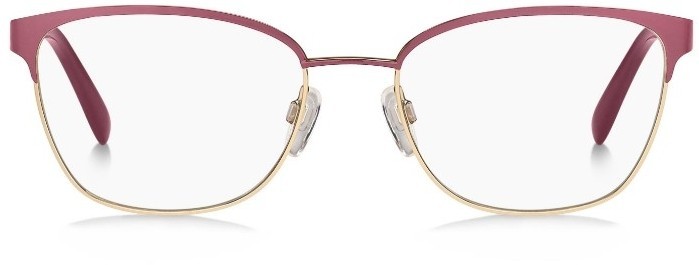 Оправа Оправа Pierre Cardin 8859 IBJ5418