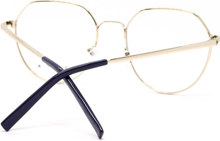 Оправа Оправа Casta CST 1160 GLD