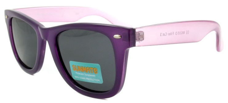 Polaroid Sunmate M8205D.jpg