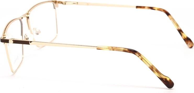 Оправа Оправа Sunderson SDO 5032 BRNGLD