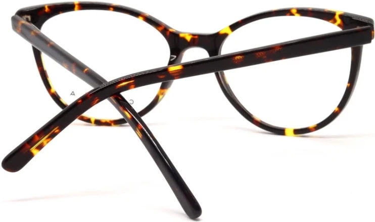 Оправа Оправа Casta CST 1173 DEMI