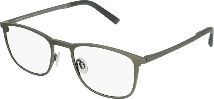 Оправа Оправа Rodenstock R7103 C 50