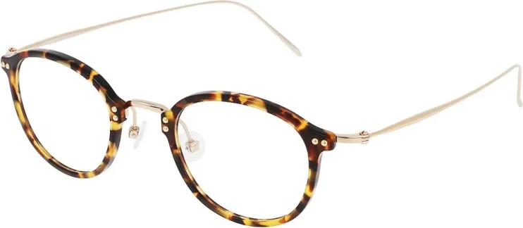 Оправа Оправа Rodenstock R7059 C