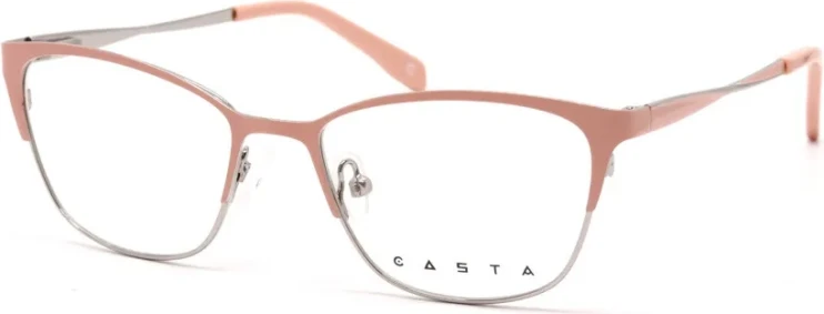 Оправа Оправа Casta CST 6001 NS BEGSIL
