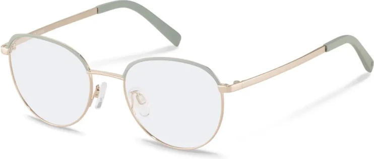 Оправа Оправа Rodenstock R2657 B 48