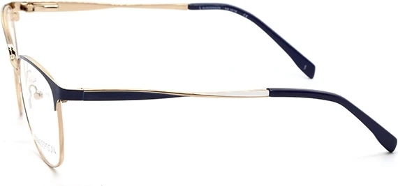 Оправа Оправа Sunderson SDO 2549 NS BLUGLD