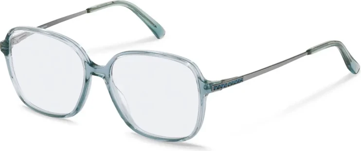 Оправа Оправа Rodenstock R8028 C 53