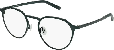 Rodenstock R7102 D 51