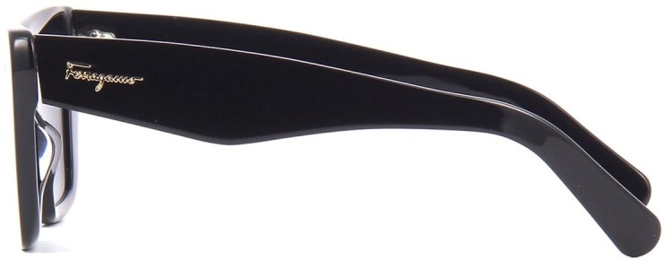 Сонцезахисні окуляри Сонцезахисні окуляри Ferragamo SF 929S 001