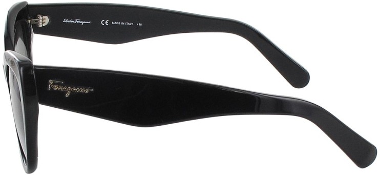 Сонцезахисні окуляри Сонцезахисні окуляри Ferragamo SF 930S 001