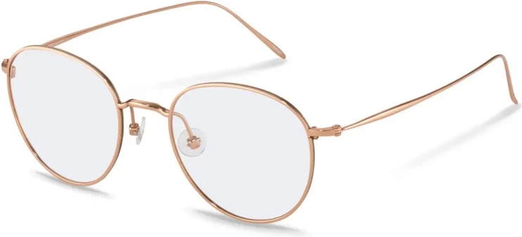 Оправа Оправа Rodenstock R7119 B 49