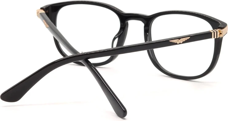 Оправа Оправа Police VPLD96 0700 50