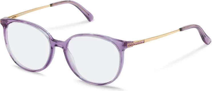 Оправа Оправа Rodenstock R8027 C 54