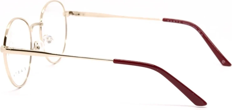 Оправа Оправа Casta CST 1166 GLD