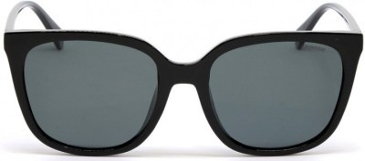 Polaroid PLD 4083/F/S 807 M9