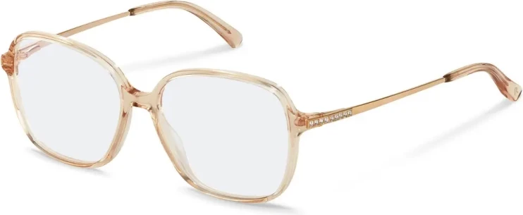 Оправа Оправа Rodenstock R8028 B 53