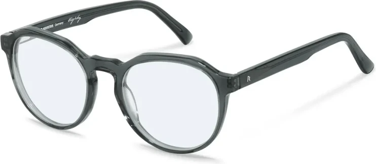 Оправа Оправа Rodenstock R5338 D 50