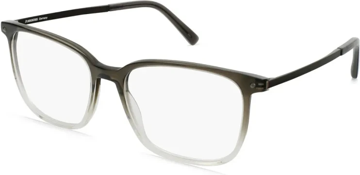 Оправа Оправа Rodenstock R5349 C 55
