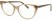 Оправа Pierre Cardin 8501 NOY5317