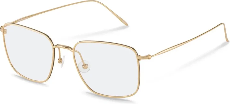 Оправа Оправа Rodenstock R7122 D 52