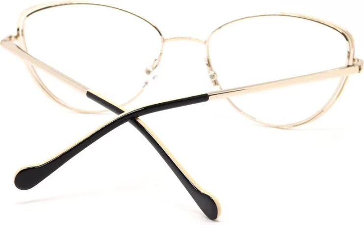 Оправа Оправа Sunderson SDO 4056 NS GLD