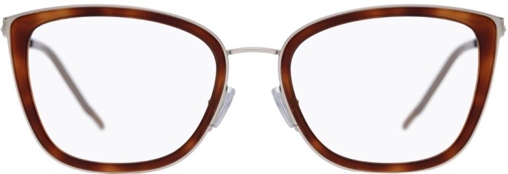 Оправа Оправа Hugo Boss 1211 8JD5319