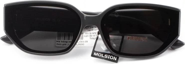 Сонцезахисні окуляри Сонцезахисні окуляри Molsion MS 5066 C11