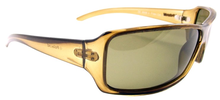 8508A Polaroid-3_enl6l.jpg