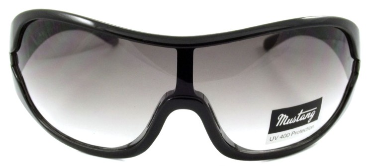 MI-021 3 Mustang-1_enl.jpg