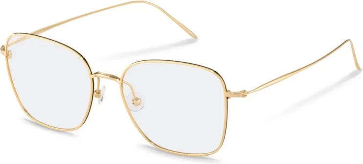 Оправа Оправа Rodenstock R7120 D 51