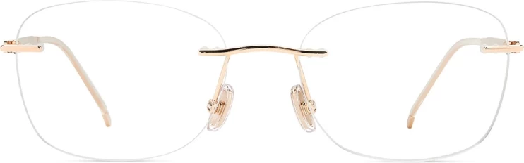 Оправа Оправа Jimmy Choo JC365 0005318