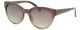 Dackor 275 Purple