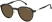 Оправа Оправа Carrera CA 368/C RHL5221