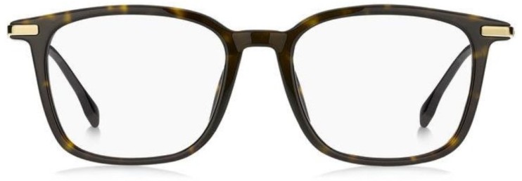 Оправа Оправа Hugo Boss 1222/F 0865319