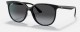 Солнцезащитные очки Солнцезащитные очки Ray-Ban RB4378 601/8G 54 Ray-Ban Ray-Ban