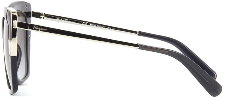 Сонцезахисні окуляри Сонцезахисні окуляри Salvatore Ferragamo SF 889S 057