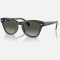 Ray-Ban RB0707S 664271 53