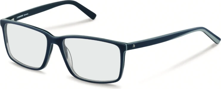 Оправа Оправа Rodenstock R5334 D