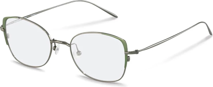 Оправа Оправа Rodenstock R7095 C