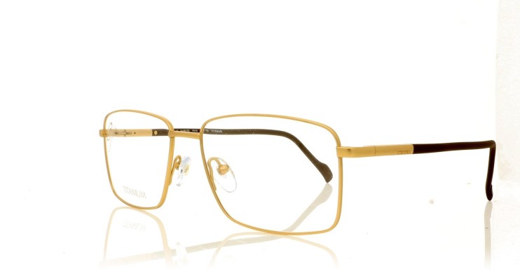 Оправа Stepper SI-60179 F010