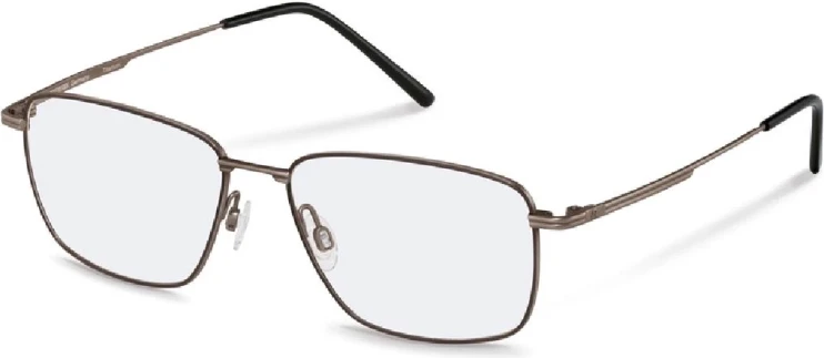 Оправа Оправа Rodenstock R7106 D 54