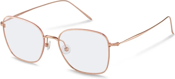 Оправа Оправа Rodenstock R7120 B 53
