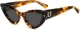 Dsquared2 D2 0092/S WR951IR